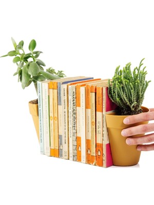 Meks Suck Uk Çiçek Saksısı-Kitap Sehpası, Plastik, Kahverengi, 12 x 12 x 15,5 cm