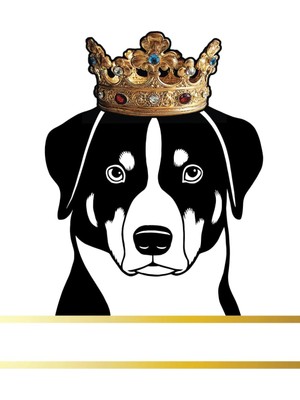 Meks Independently Published Appenzeller Sennenhund Dog Record And Memory Book: Dog Photo Album Pet Mile