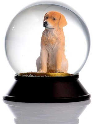 Meks Snoowg Cam ve Reçine Altın Patiler Köpek Golden Retriever Kar Küresi Hediye