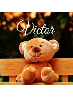 Valor Victor: Souvenirs De Naissance - Album À Compléter Et Personnaliser Avec Vos Photos - Format 21X21
