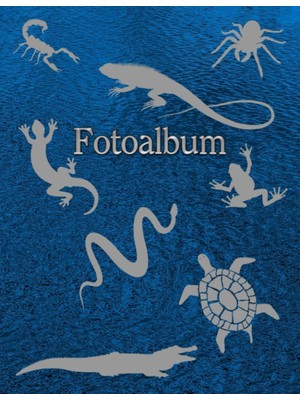 Valor Independently Published Fotoalbum Reptilien Kriechtiere Fische Schlangen Eidechsen Geckos Schildkrö