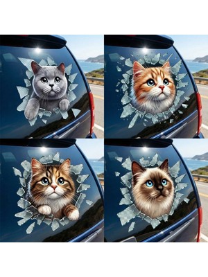 Fulcar Kedi Tasarımlı Araç Stickerı