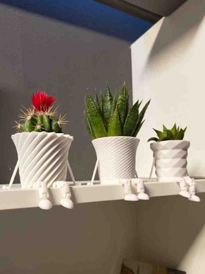 3'lü Mini Kaktüs Ailesi Saksısı