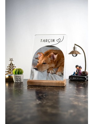 Modiwa Design Evcil Dostlar Kedi Köpek Masa Dekouru Tasarım Dekoratif Ahşap Masaüstü Obje Hediyelik