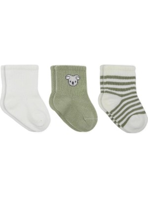 Kentex Mey Ithalat® Koala Boy 3'lü Penye Soket Çorap 10133 Ekru