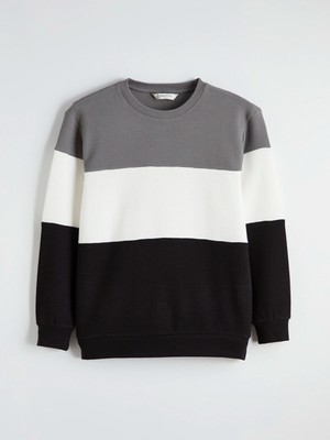 Lc Waikiki Yeni Sezon Bisiklet Yaka Renk Bloklu Erkek Sweatshirt