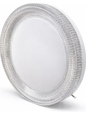 Techora Sale 1 Adet Noas YL14 1236 Kristal Sıva Üstü 36W LED Spot 3 Renk
