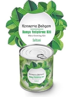 Techora Sale Konserve Bahçem Evde Konservede Sultani Bamya Yetiştirme Kiti