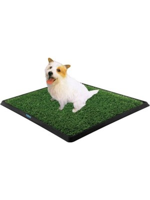 Alacak Olsam Köpek Tuvalet Eğitim Seti