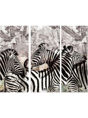 Anadolia Zebra Desenli Üçlü Ahşap Duvar Panosu