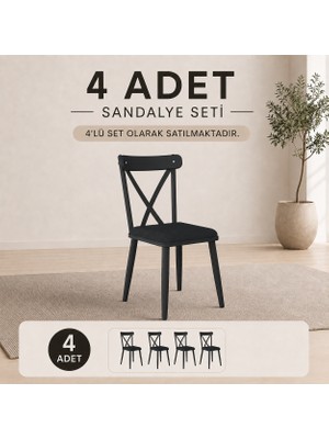 Rani JB108 Metal Sandalye Thonet Sandalye 4'lü Mutfak Yemek Masası Sandalyesi Siyah