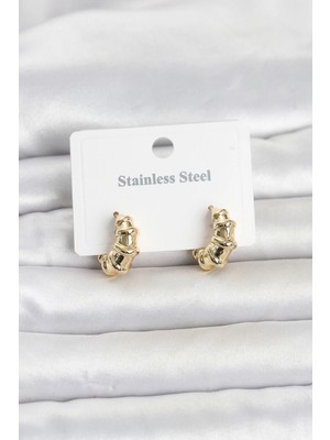 Renas Store 316L Çelik Gold Renk Halka Model Kadın Küpe