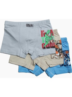Obje Erkek Çocuk Legent Asorti 3'lü Boxer