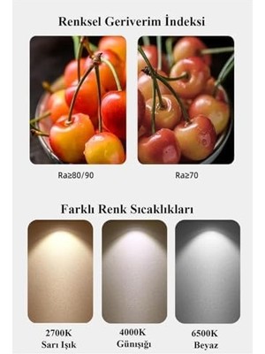 8W (60W) LED Ampul Beyaz 6500K E27 (5 Adet) Tasarruflu Lamba