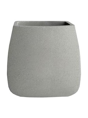 Mıthra Diş Fırçalık D-20892