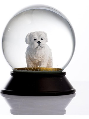 Cam ve Reçine Altın Patiler Köpek Maltese Terrier Kar Küresi Hediye