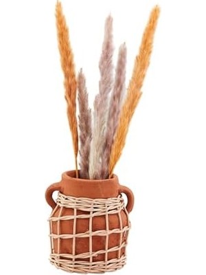 Mud Pie Küçük Terracotta Rattan Vazo; 5 1/2 "x 4 3/4" Çap