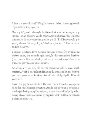 Sekizinci Günün Güneşi