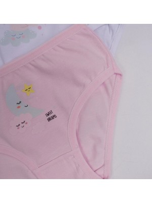 SHC4200 Kız 3lü Slip K128627 (Tek Adet Fiyatıdır)