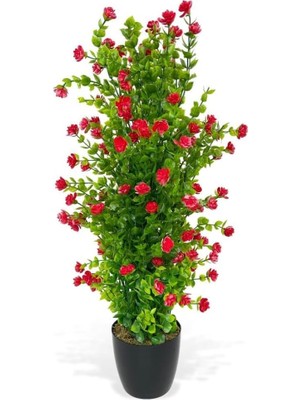 Nettenevime Yapay Çiçek Siyah Saksıda Kırmızı Mineli Şimşir Ağacı 55CM