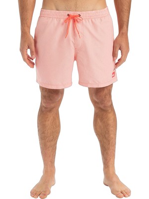 Quiksilver Everyday Deluxe Volley 15 Erkek Mayo