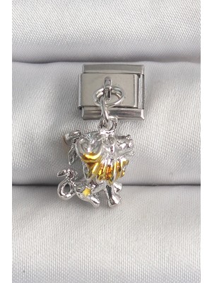 TeknoKapsül 316L Çelik Gümüş Renk Sallantı Aslan Model Nomination Charm