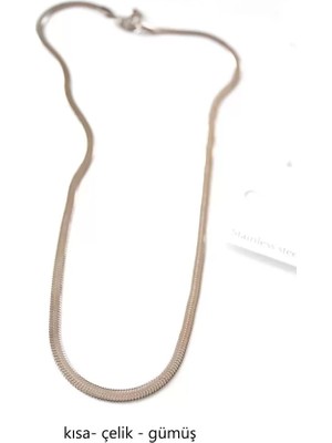 sbodurhome Kısa Italyan Çelik Kolye-45 cm - Gümüş