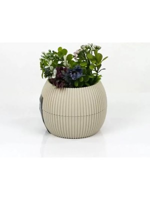 sbodurhome Mercan Saksı 11.5X12 cm 0.70 Lt