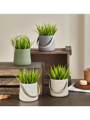 sbodurhome Kulplu Sepette Saz Model Çiçek -5764