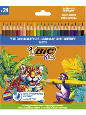 Astraltech Bic Smooth Ahşap Kuru Boya Kalemi 24 Renk, Ahşap Kuru Boya,altıgen Gövde, 5 Yaş Üzeri Için Ideal, C