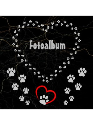 Astraltech Independently Published Fotoalbum Haustiere Meerschweinchen Kaninchen Hamster Zucht Buch Hunde Katz