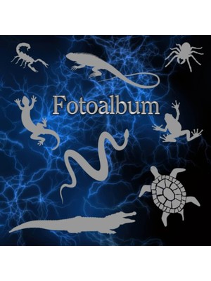 Astraltech Independently Published Fotoalbum Reptilien Kriechtiere Fische Schlangen Eidechsen Geckos Schildkrö