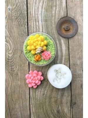 Concept Obtusa Sukulent Mum Kalıbı (Silikon)