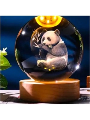 Renas Store Mey Ithalat® Dekoratif Panda Tasarımlı Ahşap Altlıklı Işıklı Cam Küre Büyük Boy Cam:8cm Ahşap:2cm