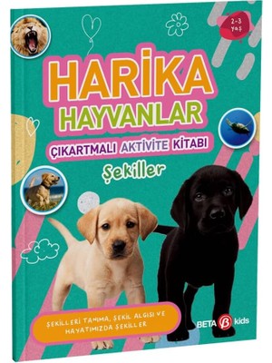 Harika Hayvanlar - Çıkartmalı Aktivite Kitabı (Kapak Değişebilir)