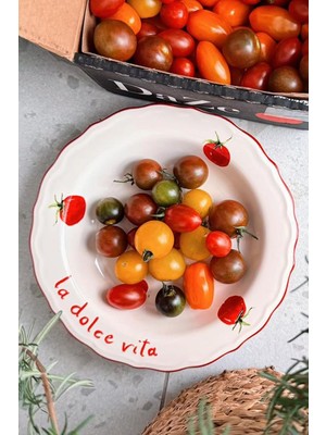 Meks Rakle x Bengi Kurtcebe Pomodoro Stoneware 4'lü Yemek Tabağı Seti 23 cm