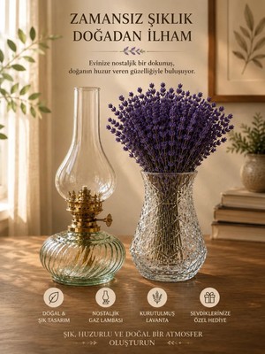 Plant Home Power Mix Dekoratif Kesitli Cam Vazo / Dekoratif Cam Gaz Lambası / Şoklanmış Lavanta Set