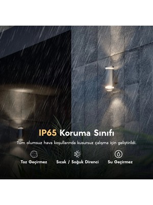 FoneLight Gala Duo Cam Detaylı Dış Mekan Duvar Aplik Alüminyum Antrasit 21 cm