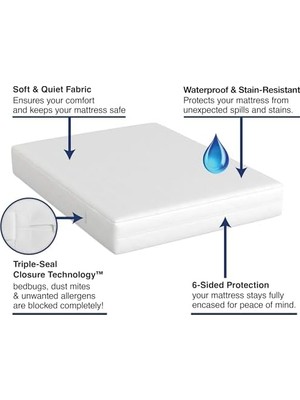 Bed Bug Blocker Hepsi Bir Arada Yatak Örtüsü, Tam, Beyaz