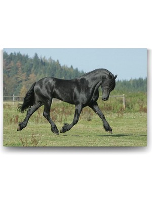 Devesi Tablosu 83 x 55-2 Parçalı