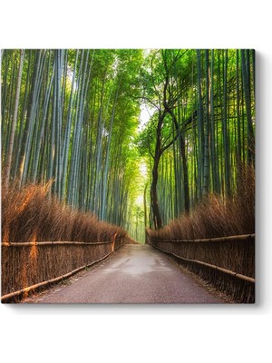 Japonya Bambu Tarlası Tablosu 80 x 80