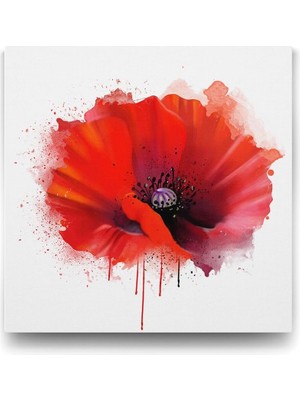 Vektörel Gelincik Tablosu - 60X60CM