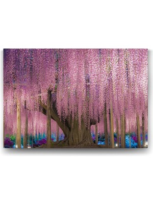 Wisteria Ağacı Tablosu 63 x 40-2 Parçalı