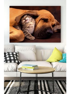 Kedi ve Köpek Eğlenceli Mizahi Kanvas Tablo 40 x 60