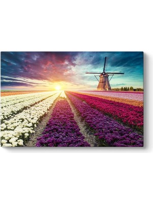 Hollanda Nederlands Çiçek Tarlası Tablosu 45 x 30