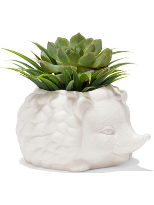 Kirpi Saksısı - Sevimli Seramik Hayvan Sukulent Bitki Saksısı - 7,8 cm x 14,8 cm x 13 cm