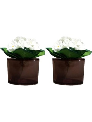 Zemira 2 Adet Vazo Dahi̇l,vazoda Çi̇çek,beyaz Yapay Çi̇çek,vazo Dekorati̇f Oval Kahverengi̇ 13X5X15CM