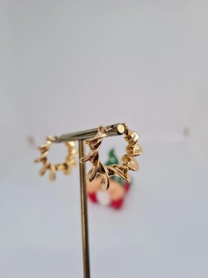 Stainless Steel 14 K Altın Rengi Burgu Model Çelik Küpe