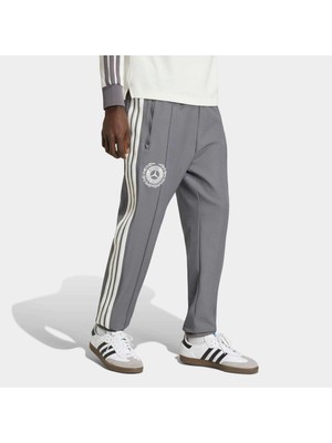 Adidas Mercedes-Amg Petronas Formula 1 Erkek Gri Eşofman Altı (KR3571)