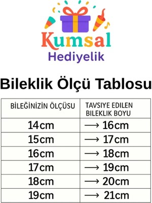 Erdo Ticaret Bileklik 925 Ayar Charm Uyumlu Klasik Yılan Zincir Gümüş Sevgililer Günü Hediye